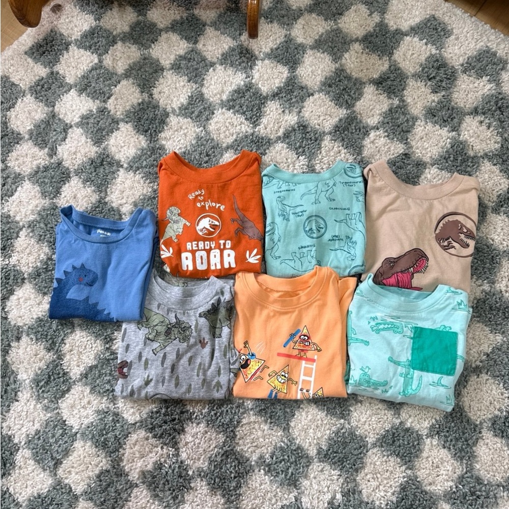 Dinosaur Graphic Kids T-Shirts Lot
